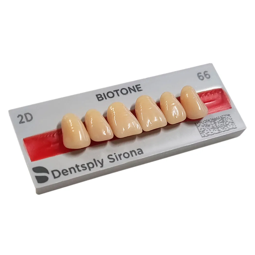 Dente Biotone Dentsply Sirona