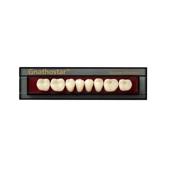 Dente Gnathostar